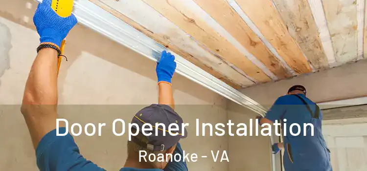  Door Opener Installation Roanoke - VA