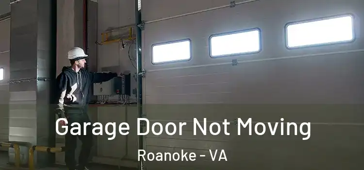  Garage Door Not Moving Roanoke - VA