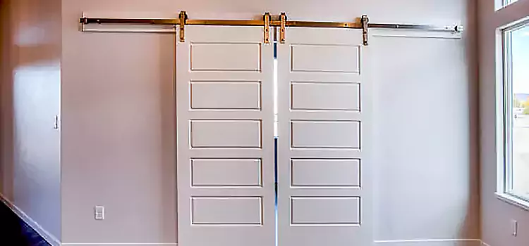 Glass Barn Door with Installation Hardware Kit Roanoke