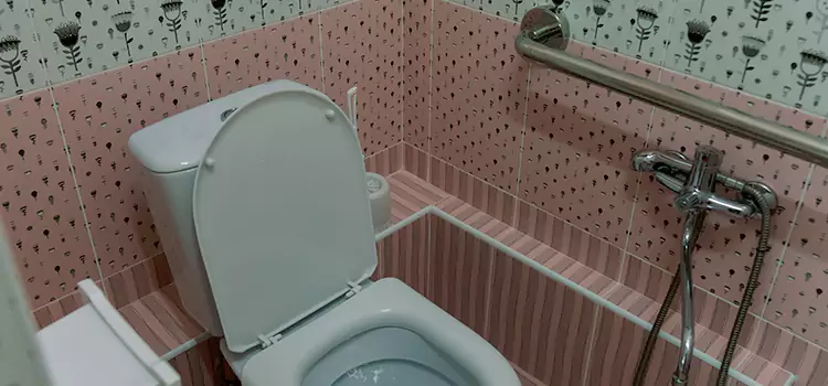 Meeting Diverse Needs With Accessible Restroom Solutions in Roanoke, VA