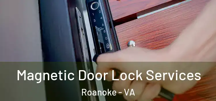 Magnetic Door Lock Services Roanoke - VA