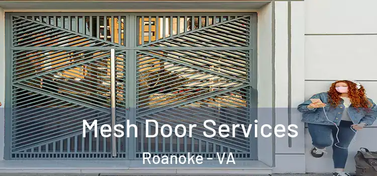  Mesh Door Services Roanoke - VA