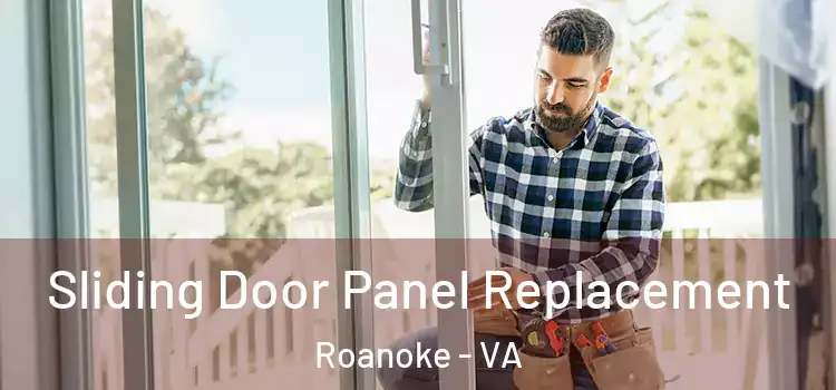  Sliding Door Panel Replacement Roanoke - VA